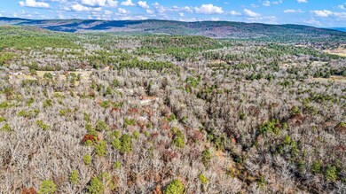 2805 Larue Ridge Rd, Dover, AR 72837 - photo 6