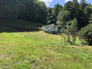 Cellar at Old Home site