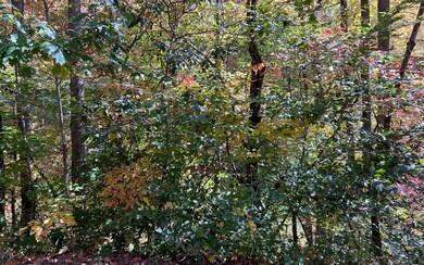 Additional View