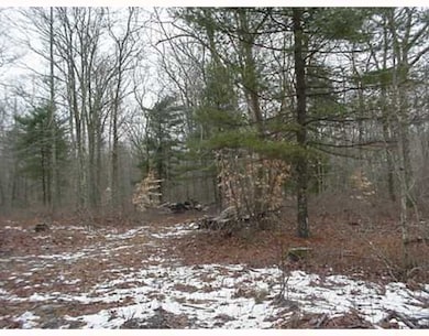 241 Fairview Ave, Rehoboth, MA 02769 - photo 5