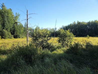 0000 Under the Mountain Rd, Lyman, NH 03585 - photo 7