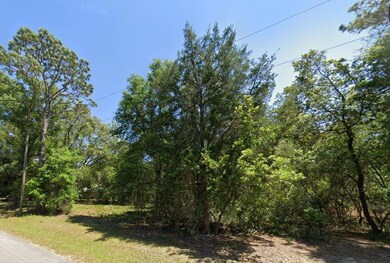 0 SW 69th Place unit MFRG5075090, Dunnellon, FL 34431 - photo 2