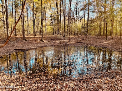 0 Mayer Rd, Bentonia, MS 39040 - photo 7