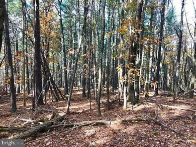 0 Moyers Gap Road (Stuffle Run) unit WVPT2000384, Sugar Grove, WV 26815 - photo 2