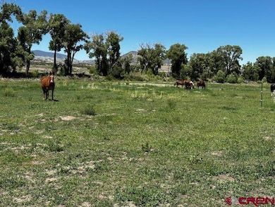 Approx middle of the property facing NE.