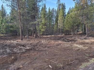 0 Brook Trout Ln unit Block 6 Lot 3, Chiloquin, OR 97624 - photo 5