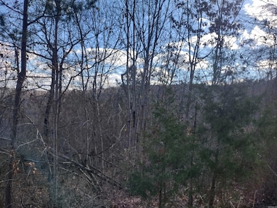 0000 Sunnyland Rd, Mountain View, AR 72560 - photo 3