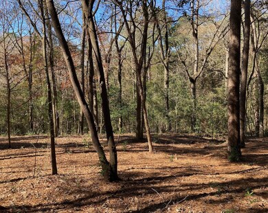 Beautifully under brushed 1.7 acres in Teaswood.