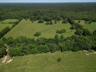 DJI_0342