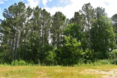 0 Nickelsville Rd NW unit 20148653, Resaca, GA 30735 - photo 6