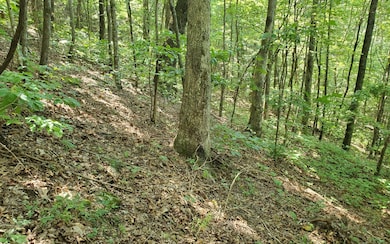 Additional View