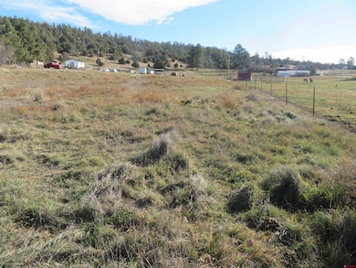 4086 County Road 700, Pagosa Springs, CO 81147 - photo 3