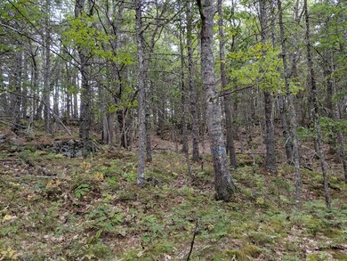 IMG_20190917_150446