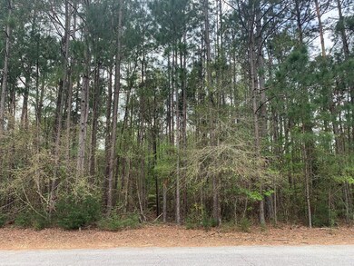 6000 James Rd, Albany, GA 31705 - photo 5