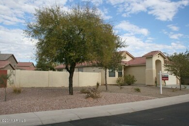Mature Landscaping