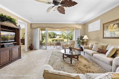 5453 Legend Hills Ln, Spring Hill, FL 34609 - photo 4