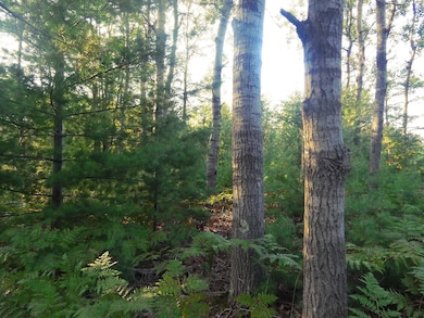 Varieties of trees