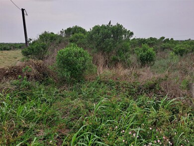 0 County Road 299 Heron unit 67049076, Sargent, TX 77414 - photo 2