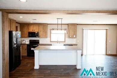 4208 Magnolia St, Carlsbad, NM 88220 - photo 4