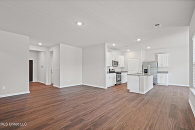 2197 Hyacinth Ln, Hernando, MS 38632 - photo 6