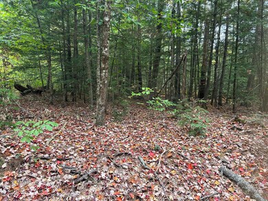 tbd Flat Ground, Acton, ME 04001 - photo 5