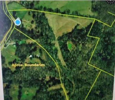 530 Askin Rd, Fordsville, KY 42343 - photo 5