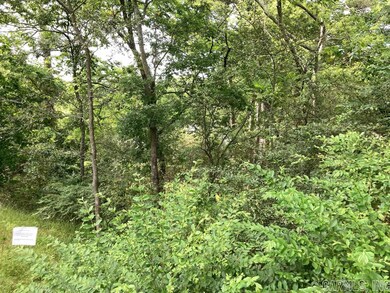 520 S Martin St unit S. Martin St. north, Little Rock, AR 72205 - photo 7