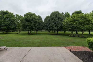 Wow! Look at these mature trees in your back yard.