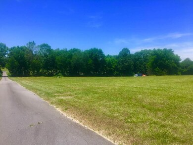 From the road, there are two fields and Two tree lined areas before entering the home area. 