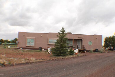 1313 Bourdon Ranch Rd, Show Low, AZ 85901 - photo 3