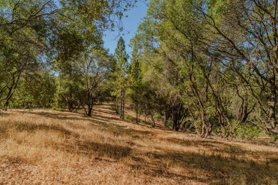 18862 American Flat Rd, Fiddletown, CA 95629 - photo 7