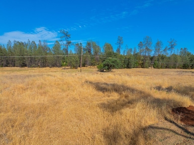 NSA Nevada Ln, Redding, CA 96003 - photo 5