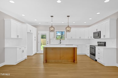 610 Cherry Marie Dr, Jonesborough, TN 37659 - photo 3