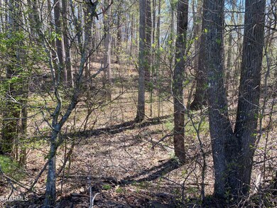 0780E40C-27E4-466D-8DC8-E2D33FA9CEC8