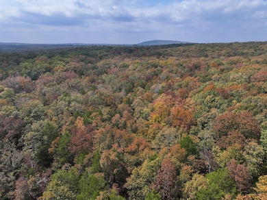 Off Hwy Dd unit Lot WP001, Farmington, MO 63640 - photo 5