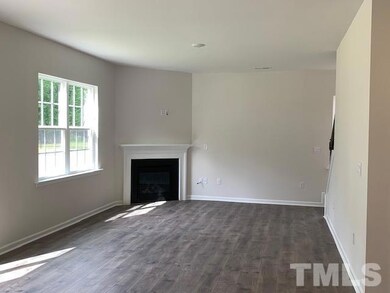 146 David Hill Dr, Buffalo Lake, NC 27330 - photo 6