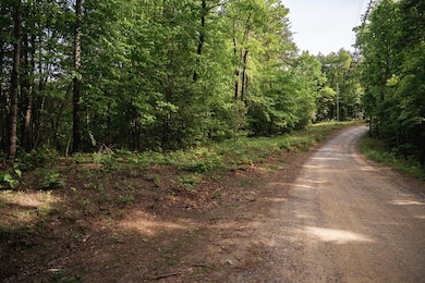 Tract 2 Century Ln, Blue Ridge, GA 30513 - photo 6