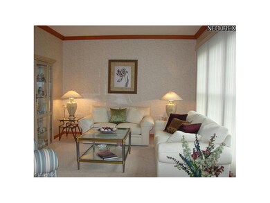 420 Walnut Ridge Trail, Aurora, OH 44202 - photo 6