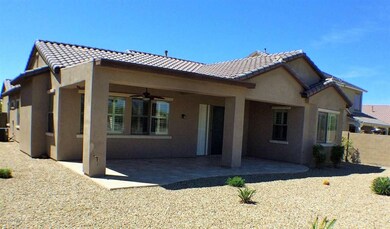 17548 Verdin Back (7)