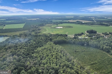 0 Kville Rd unit 10596074, Screven, GA 31560 - photo 5