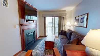 # 238 Allegheny Springs Lodge, Snowshoe, WV 26209 - photo 3