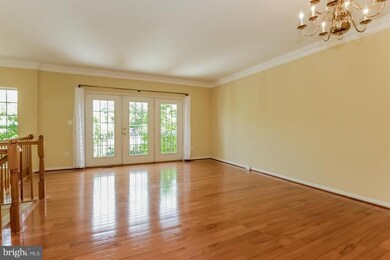 6282 Shackelford Terrace, Alexandria, VA 22312 - photo 5