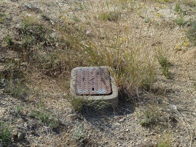 Walnut_water meter