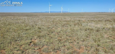 8335 S Calhan Hwy, Calhan, CO 80808 - photo 2