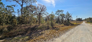 16392 Curlew Rd, Brooksville, FL 34614 - photo 3