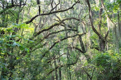 1304 Old Smokey, Crescent, GA 31304 - photo 2