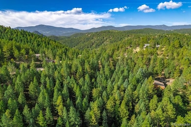 360 Hi Meadow Dr unit 21, Bailey, CO 80421 - photo 7