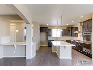 6014 Moran Rd, Timnath, CO 80547 - photo 6