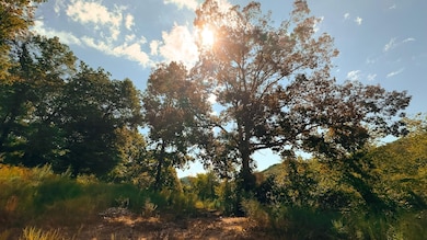 16932 State Route 335, Beaver, OH 45613 - photo 2