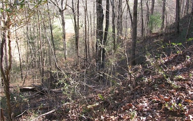 Additional View